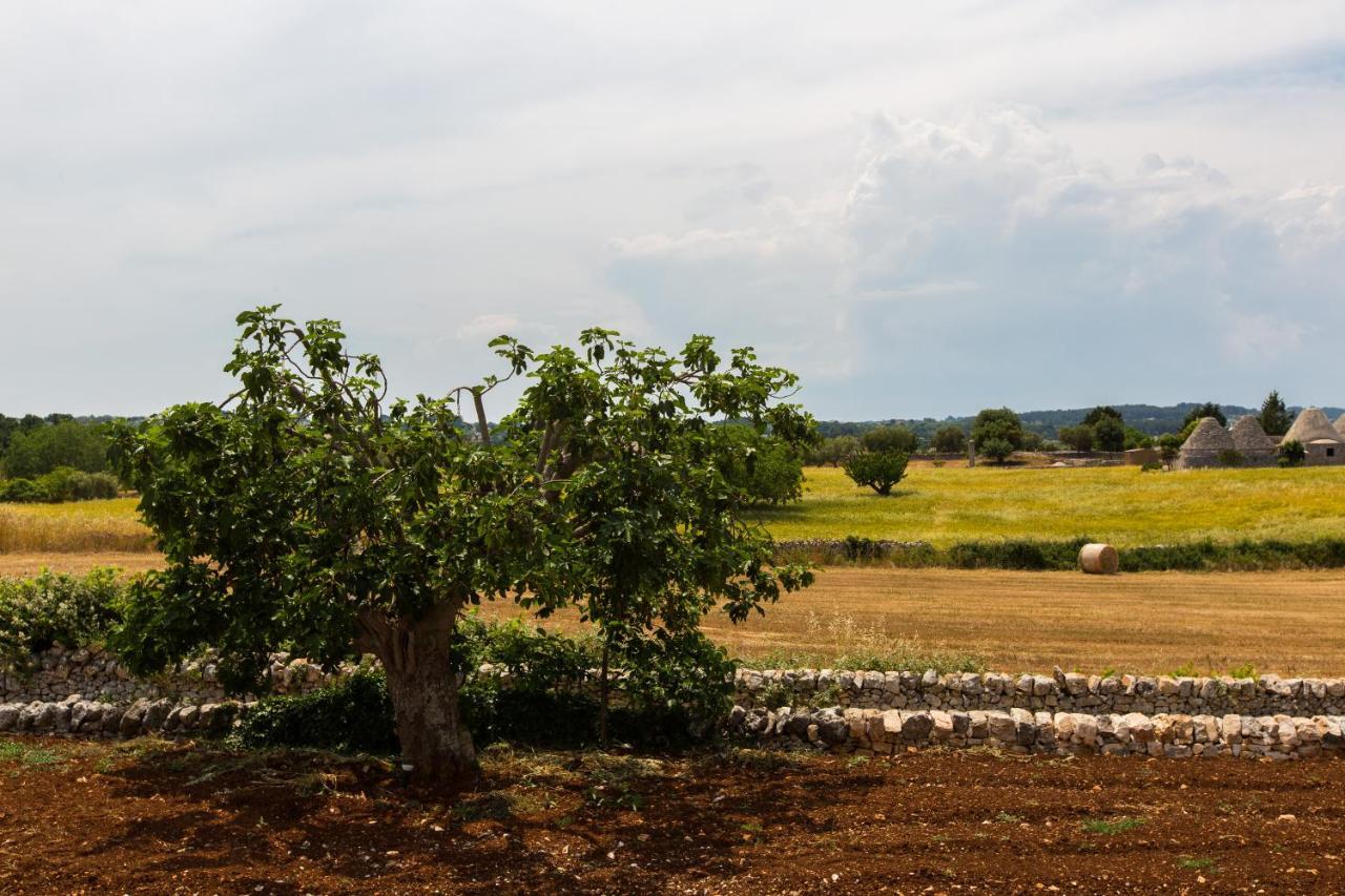 Trulli Gianpaolo - Luxury Villa ออสตูนี ภายนอก รูปภาพ